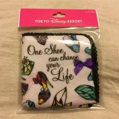 新品！ディズニープリンセス ミニタオル