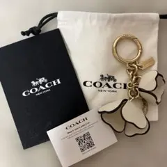 2026年最新】coach ティーローズの人気アイテム - メルカリ