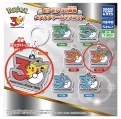 【新品・未開封】ポケモン 30周年 メタルチャームマスコット　2点セット