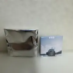 RADWIMPS ジャケット無人島に持っていき忘れた一枚ビックエコーコラボ商品