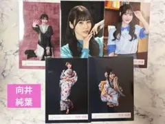 櫻坂46 向井純葉 生写真 3種セット 櫻坂46 向井純葉 生写真 3種セット - メルカリ