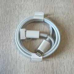 Apple純正 Lightningケーブル ライトニングケーブル