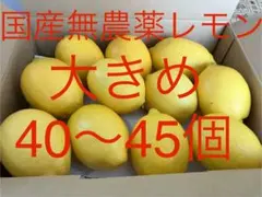 69国産瀬戸内レモン　農薬不使用　40〜45個のサムネイル