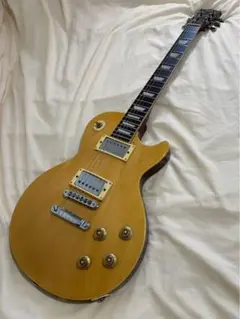 Bacchus BLS-120 初期 レスポールタイプ 国産 iGiGケース付 Bacchus BLS-120 初期 レスポールタイプ 国産 iGiGケース付 - メルカリ