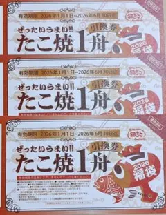 銀だこ　引き換え券　３枚セット　オマケ付き