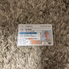 BUDDiiS FUMIYA 免許証 トレカ