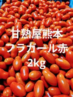 ミニトマト　フラガール赤　2キロ