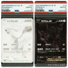 【連番】ゼクロムex ＆レシラムex BWR