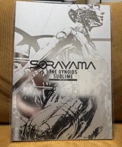 SORAYAMA THE GYNOIDS SUBLIME 2冊セット　空山基 SORAYAMA THE GYNOIDS SUBLIME 2冊セット 画集 - メルカリ