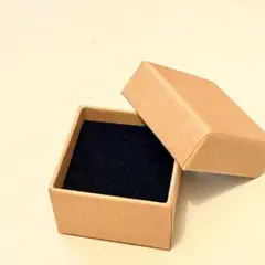 リングボックス　指輪　空箱　ベージュ　10個セット