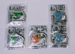 ポケモン 30周年 メタルチャームマスコット 5点セット