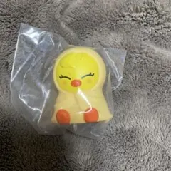 ぴぴ様 専用出品