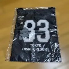 Item thumbnail for item 59f37214-6ecd-499e-a815-636a8dbaccea