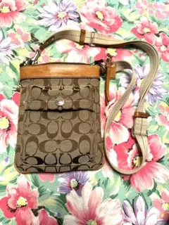 Item thumbnail for item 369ddc94-4e7c-4ef1-96a1-312c8414a338