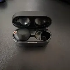 SONY WF-1000XM4 ワイヤレスイヤホン（右耳は路線落ち）