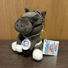 キズナ　ぬいぐるみ 　S・Мサイズセット　武豊騎手サイン　武豊展　京都高島屋 ドウデュース ぬいぐるみ 武豊騎手サイン 武豊展 京都高島屋 日本