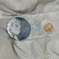 ハイキュー ファンパーク デコレクション缶バッジ アクリルminiフィギュア