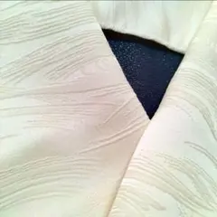 正絹半襟、半衿⭐️丹後ちりめん　素敵な地模様
