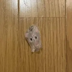 ジュエルペット　めじるしアクセサリー　ラブラ