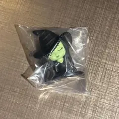 肩ズンFig. WICKED 永遠の約束 エルファバ