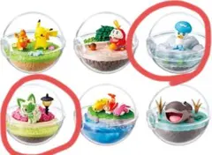 ▶即購入可　ポケモン　テラリウム　2個セット