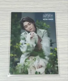 Mrs. GREEN APPLE バベル 008 大森元貴 フォトカード