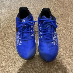 Nike kyrie flytrap 2 GS 23.5cm