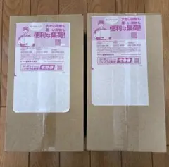 新品未開封】ポケモンセンター トウホク フクオカ スペシャル2BOXシュリンク付