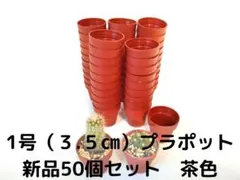 1호 3.5cm 화분·플라포트 갈색 신품 50개 세트