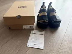 UGG アグ ゴールデンスター ハイ GOLDENSTAR HI 厚底箱付