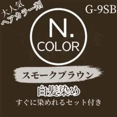 エヌドット G-9SB 白髪染め ヘアカラー 200mlオキシ付 お得セット♪