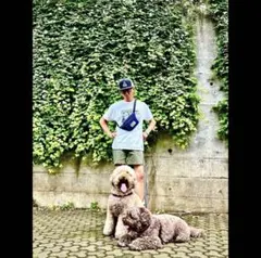 サブカルチャー SUBCULTURE カモ柄 ショートパンツ サイズ2 キムタク 