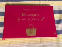otona sweet 付録　ハローキティ✖️アリソンブラウン　トートバッグのサムネイル