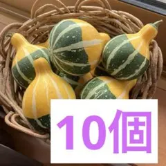 飾りかぼちゃ　10個のサムネイル