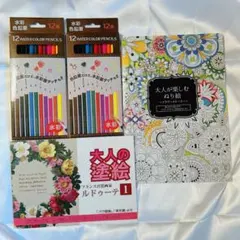 【新品未使用】水彩色鉛筆12本と大人の塗り絵4点セット