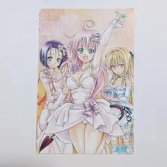 ToLOVEる ララ 西連寺春菜 金色の闇 ポストカード 2008年 カレンダー