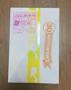 はじまりのピカチュウ　２点セット