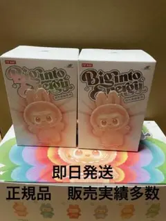 正規品・未開封】Labubu Big into Energy 2箱