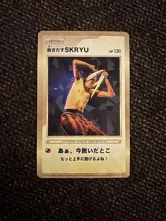 SKRYU All In One グッズ　THEATER まとめ売り SKRYU All In One グッズ THEATER まとめ売り - メルカリ