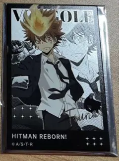 2025年最新】沢田綱吉 カードの人気アイテム - メルカリ