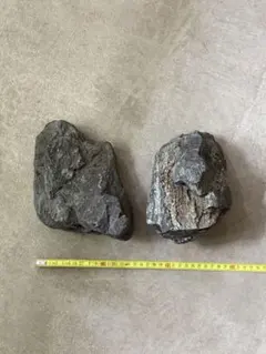 2025年最新】ada 万天石の人気アイテム - メルカリ