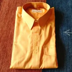 Item thumbnail for item c0411104-6712-4974-b2c4-4a8e677533bc