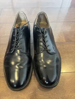 Item thumbnail for item 5b930927-f445-4dc9-a94c-998f1896b714