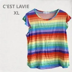 C'EST LAVIE レインボーストライプ Tシャツ XLのサムネイル