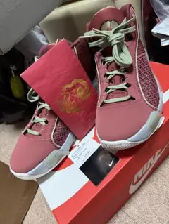 エアジョーダン38 AIR JORDAN 38 CNY PF 28.5cm
