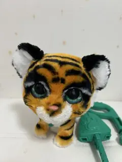 ファーリアル　トラ　オウム ファーリアル トラ