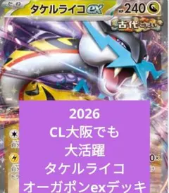 タケルライコオーガポンex構築済みデッキ