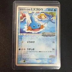 95ポケパークのミズゴロウ P [PCG-P 048](プロモーションカード