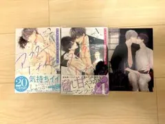 アフター・ミッドナイト・スキン 1〜2巻セット とらのあな4Pリーフレット　新品