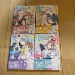 仕事人間な伯爵令嬢は氷の宰相様の愛を見誤っている 4 1〜4巻セット